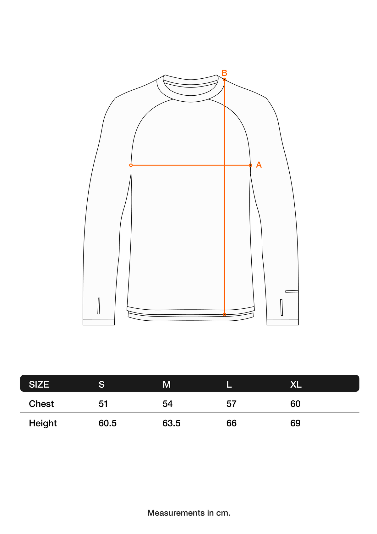 Triumph Longsleeve – size chart